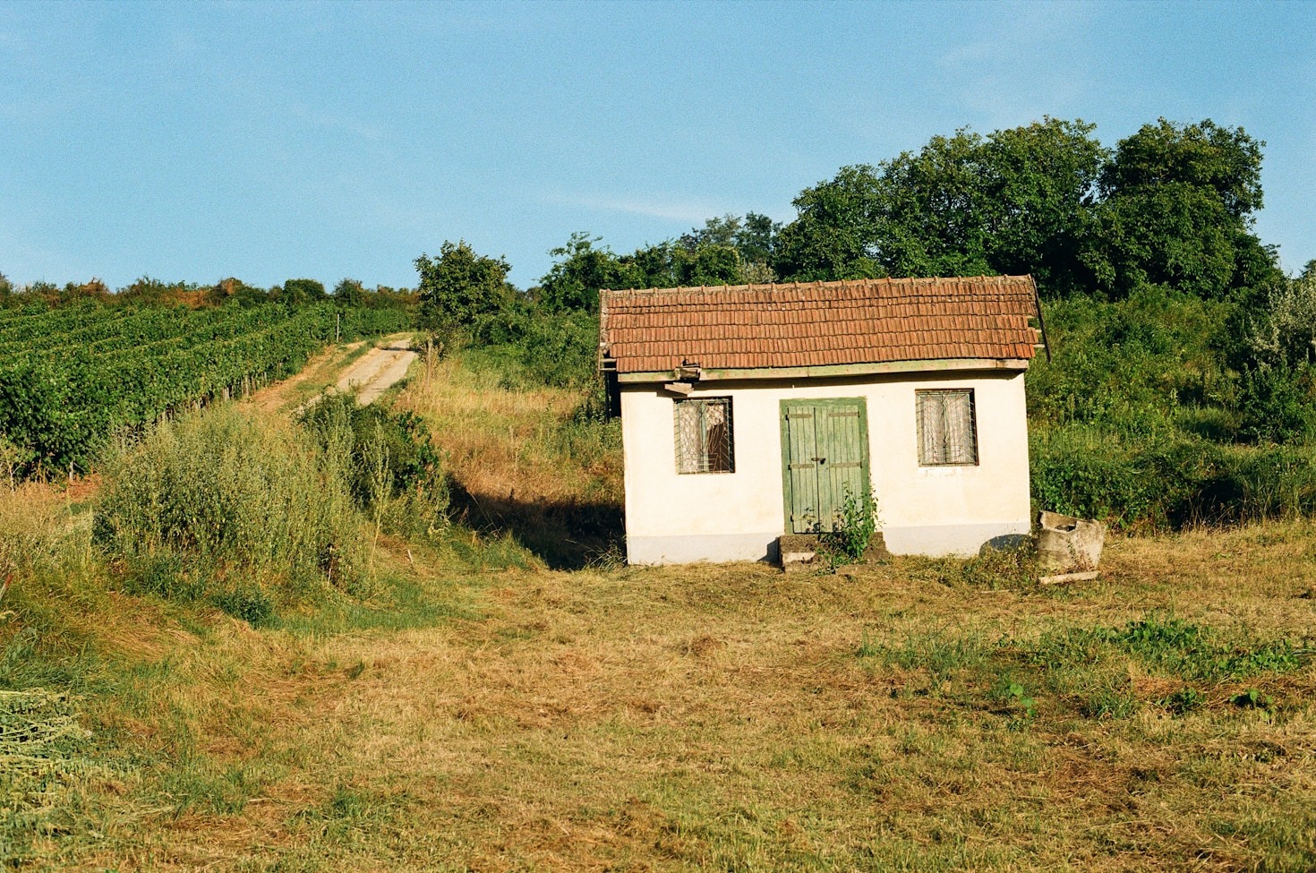 Breaking Down Land Financing Options Seamlessly